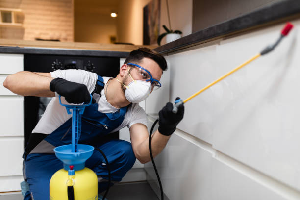 Professional Pest Control in Dundalk, MD