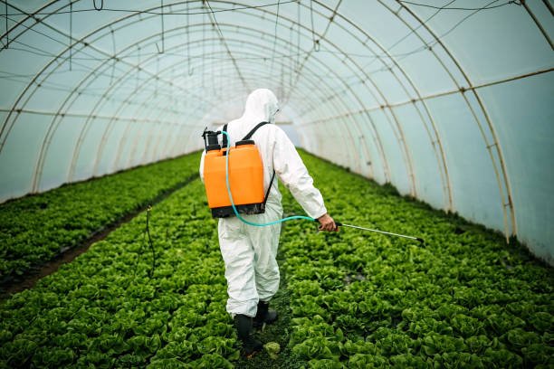 Best Commercial Pest Control Services  in Dundalk, MD