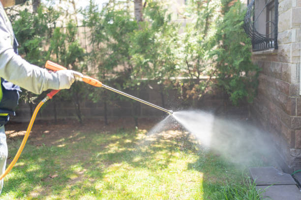 Best Local Pest Control Services  in Dundalk, MD